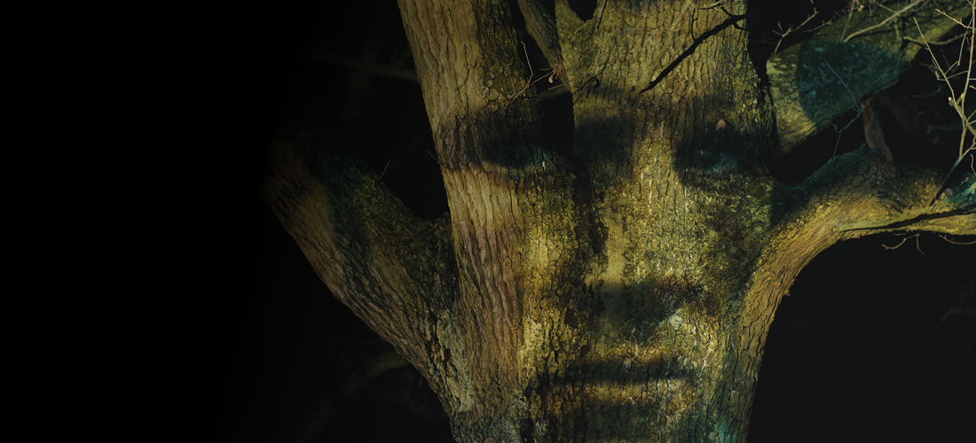 Billede fra FE's kampagnefilm