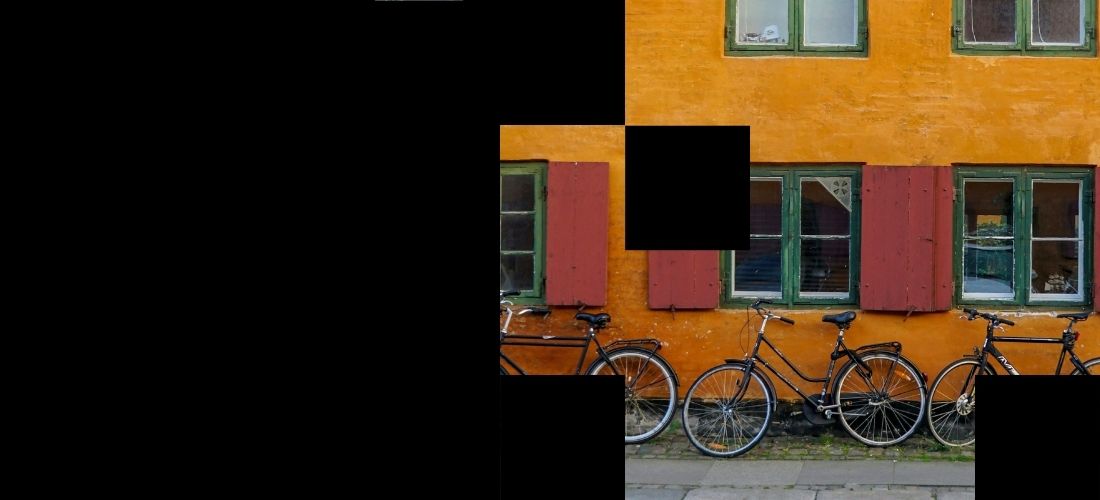 Vil du hjælpe FE med at passe på Danmark?