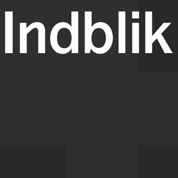 Udsnit af forsiden af FE's publikation Indblik